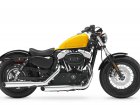 2011 Harley-Davidson Harley Davidson XL 1200X Forty-Eight